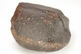 Chondrite Meteorite ( g) - Western Sahara Desert #208168-1